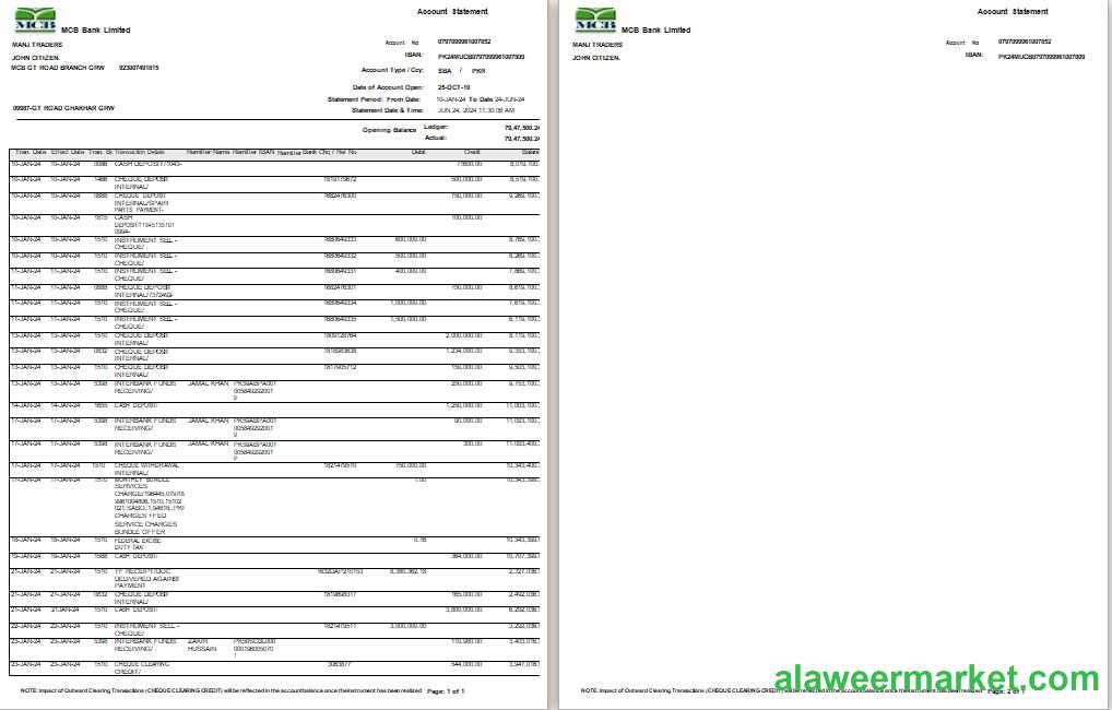 Pakistan MCB bank statement Word and PDF template